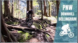 Best Downhill Mountain Biking in Bellingham?...