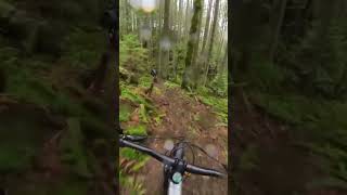 Loamy Pacific Northwest trails!...