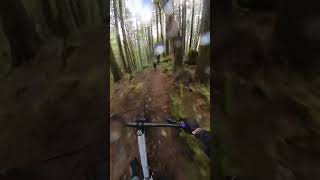 Chasing the loam pup on singletrack...