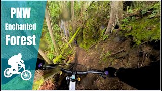 I love mountain biking in Bellingham! (and you...