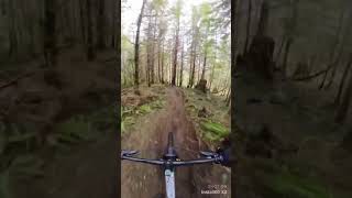 I love this trail #mountainbiking #downhillmtb...