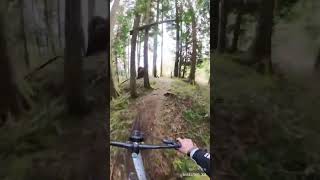 Riding blind has it’s downsides lol...