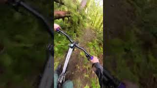 Things are always interesting in the wet ...