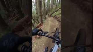 Stoked this trail is open again!...