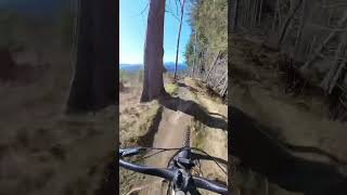 I think spring mountain biking is here in the...