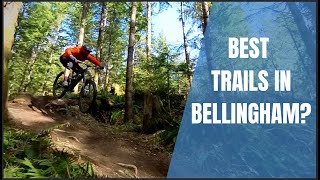 Riding Bellingham's most popular Mountain...