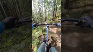 Fun stump jump. #downhillmtb #mtb #pnw...