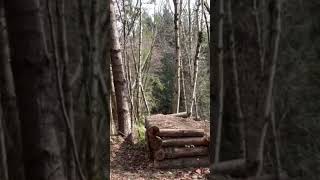 Step down gap. #mtb #downhillmtb #pnw...