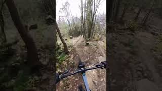 Step down gap #downhillmtb #mtb #pnw...