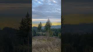 Washington is beautiful. #downhillmtb #mtb...