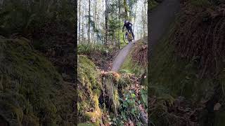 Fun Rock Roll #mtb #downhillmtb #pnw...