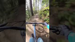 Fun stump drop. #mtb #pnw #mountain-biking #shorts