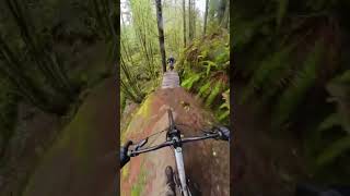 Fun wood bridge MTB #shorts
