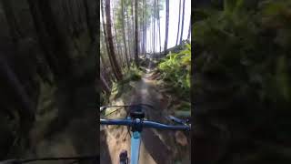 Fun fast chute to step up. #shorts