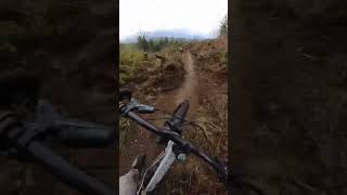 Riding a new MTB trail #downhillmtb #mtb #pnw...