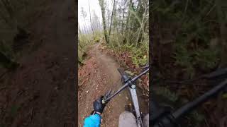 A fun few drops #downhillmtb #mtb #pnw...