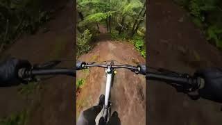 Would you ride this?
