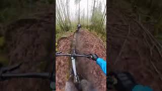 Zoom Zoom