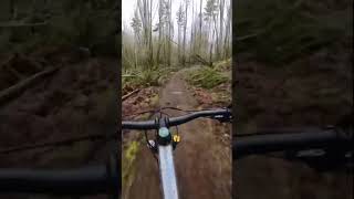 This MTB trail is fast