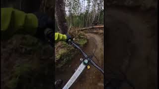 Steep and loose (but not as loose as summertime)