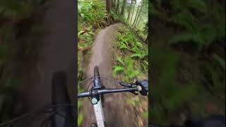 You’d probably like this trail… #mtb #pnw...