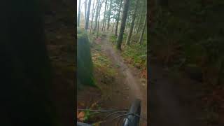 MTB in the PNW