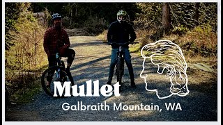 Mullet - Galbraith Mountain | Rainy PNW Biking Day