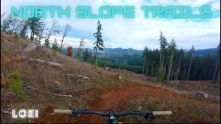Low Key (LOKI) - North Slope Trails - Capitol...