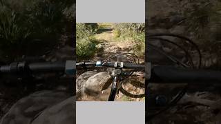 Wild Shute  #downhill #mtblife #shorts