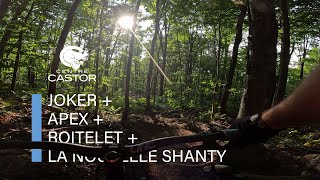 Joker + Apex + Roitelet + La nouvelle Shanty...