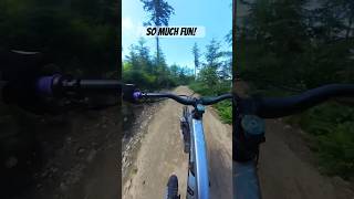 My legs were cooked at this point but so much fun!