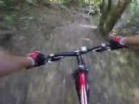 Mountain Biking in Te Apiti - Manawatu Gorge