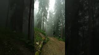 Huge Pull!! Coast Gravity Park #mtb...