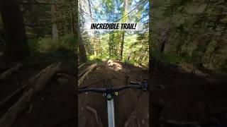 This trail was a BLAST!!!