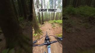 Trying to get to know these lines!
