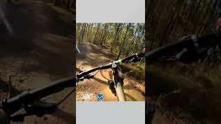Just because #pov #gopro