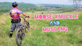 Moose Knuckle - Mustang / Edmonton, AB