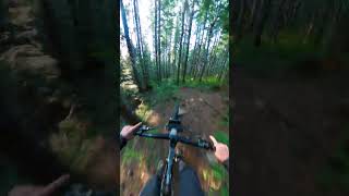Singletrack of My Dreams!!