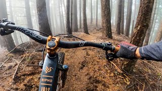 PARADISE ROYALE: Everything mountain biking...