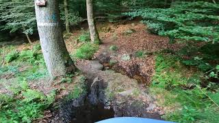 MTB trail Croix Bleue in Alsace