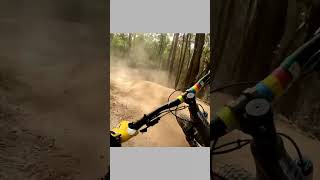 Step up #gopromtb #bike #asmr #downhill...
