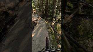 Squealing Sram brake asmr on the Whaleback of...