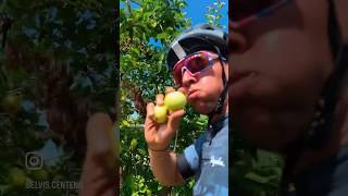 My favorite snack stop  #mtb #cycling