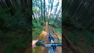 Sunrise Laps Are The Best!!