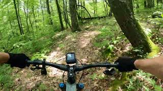 Genesis Trail to Wheels Up