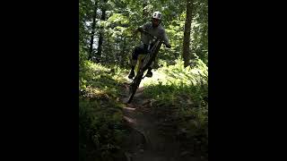 Is this the best bike for trail manuals?