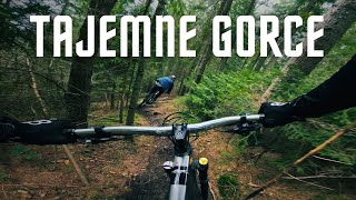 Sekretne single w Gorcach | Prima | Locha | DH