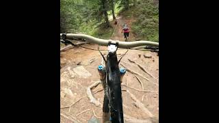 3-LÄNDER ENDURO Haideralm Trail mit...