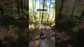 One of my faster laps down this trail!