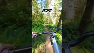 I love this section. A few quick little drops...